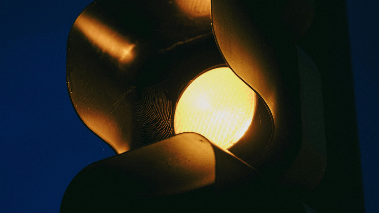 FI - Learn Obedience - New