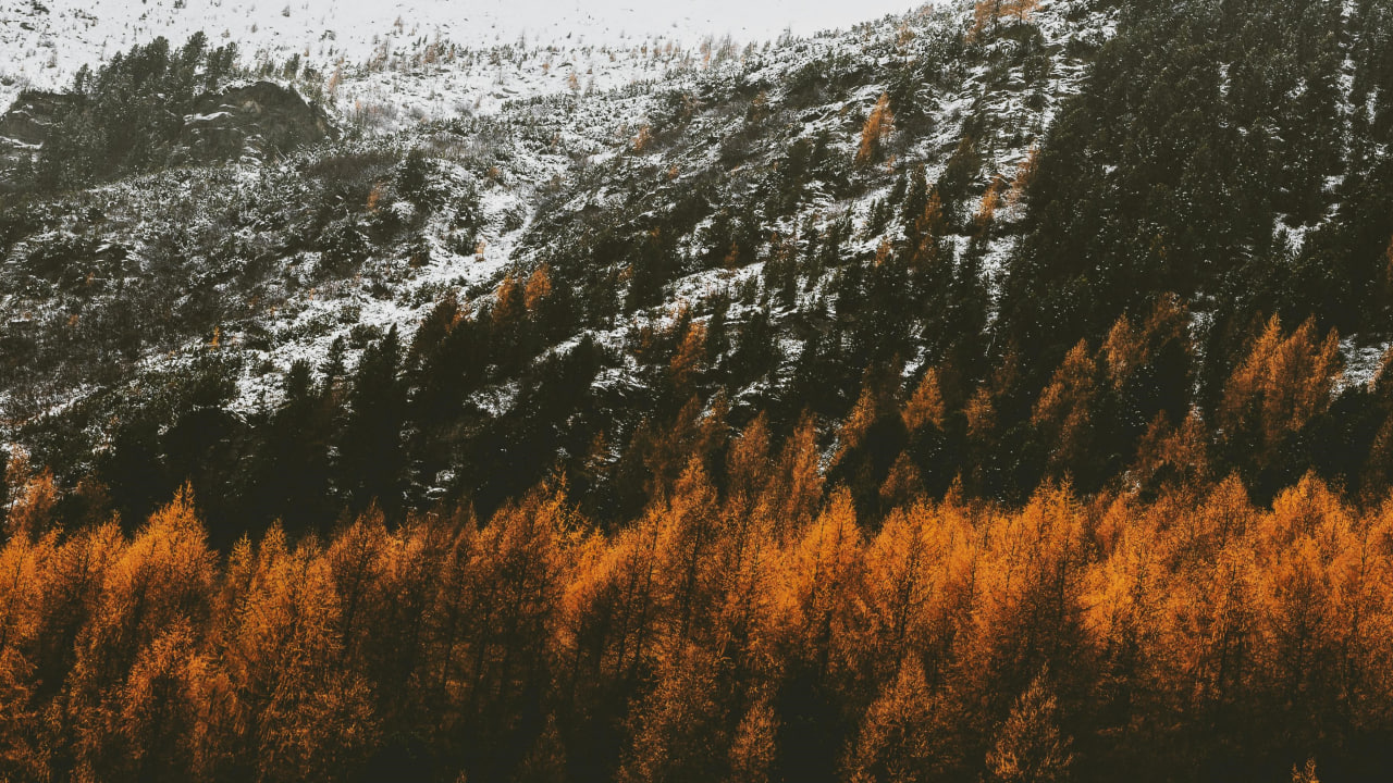 FI - Change of Environment - New