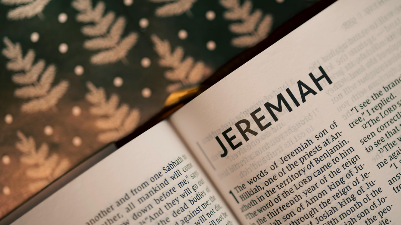 FI - Increase in Learning - New