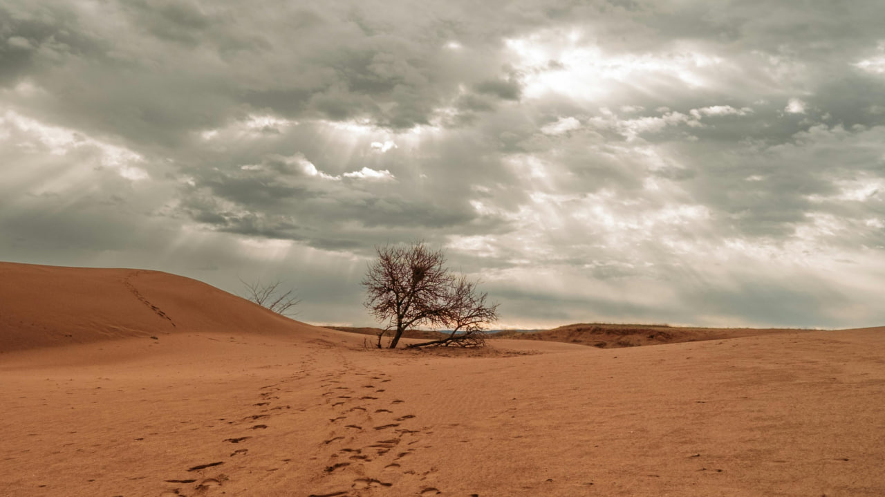 FI - Fight the Good Fight of Faith - New