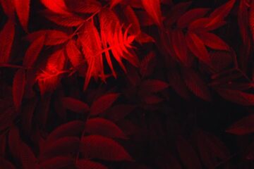 FI - God Will Never Stop Loving You