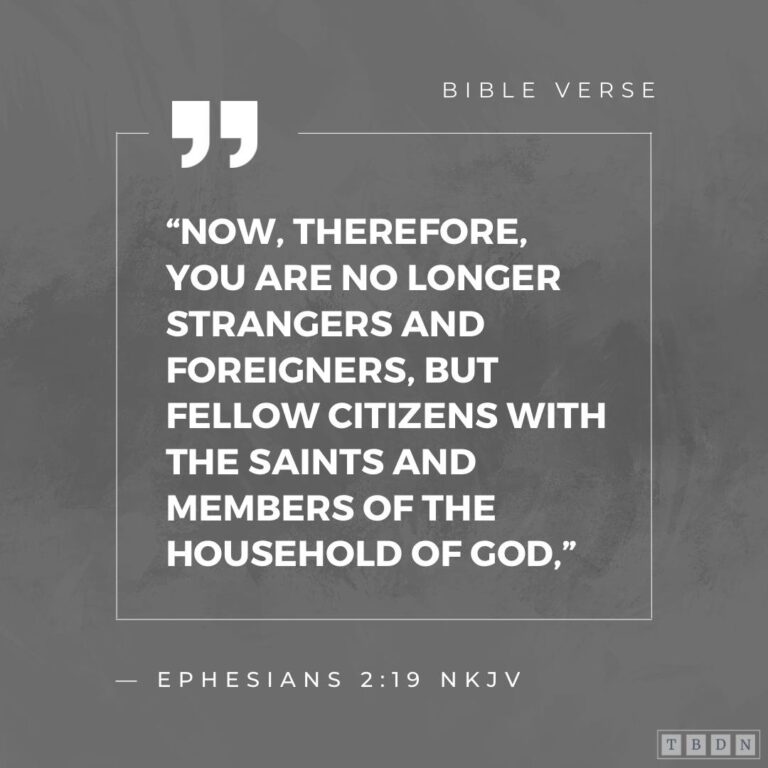 You Are A Member of God’s Household The Bible Daily Network