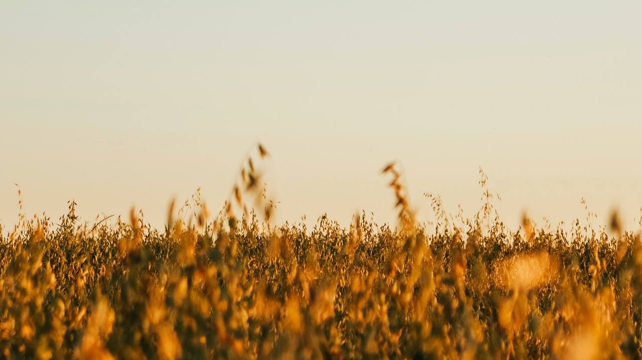 FI - Don’t Force Yourself To Please People By Doing Good Things Beyond Your Capacity