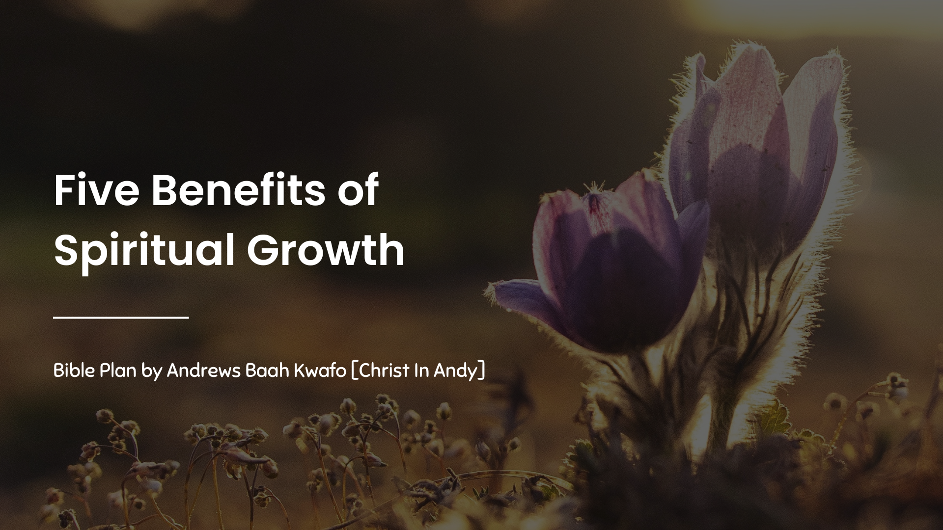 Plan Image - Five Benefits of Spiritual Growth - Main Image