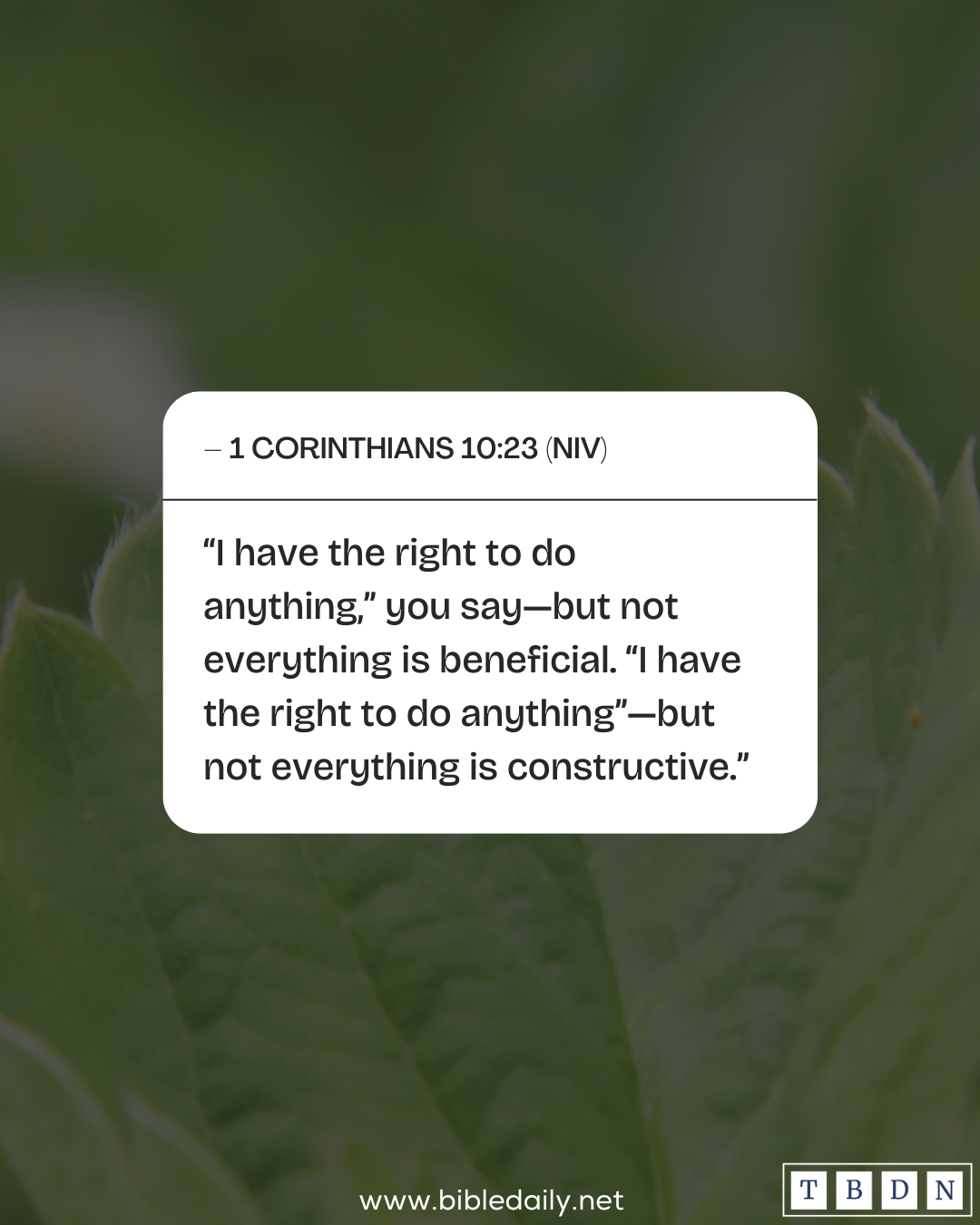 Not Everything Not Everything Is Beneficial to Do as a Believer | The Bible Daily Network