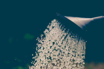 FI - Cultivate What Is in Your Hands - A Message to All Workers on World Labour Day