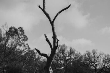 FI - You Were Dead In Your Trespasses and Sins