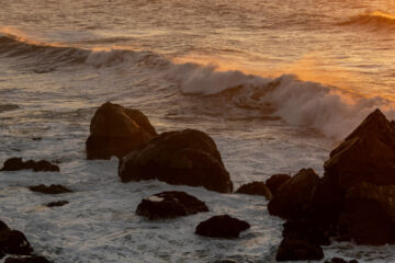 FI - Comport Yourself in Honour of God