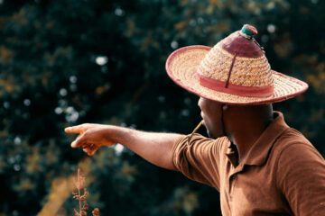 FI - Do Not Cause Anyone to Stumble