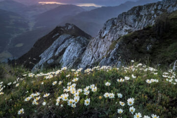 FI - Jesus Himself Is Your Peace