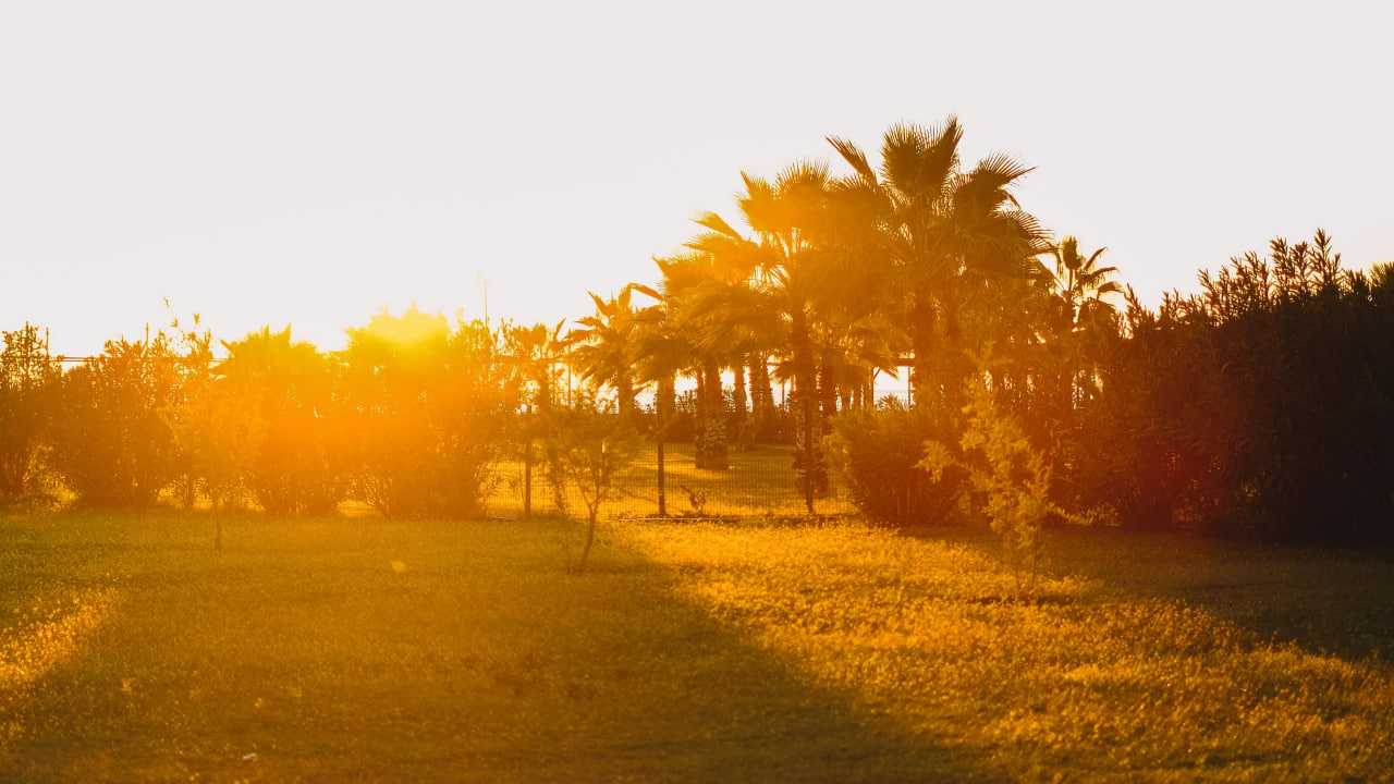 FI - Creation Awaits the Manifestation of the Sons of God