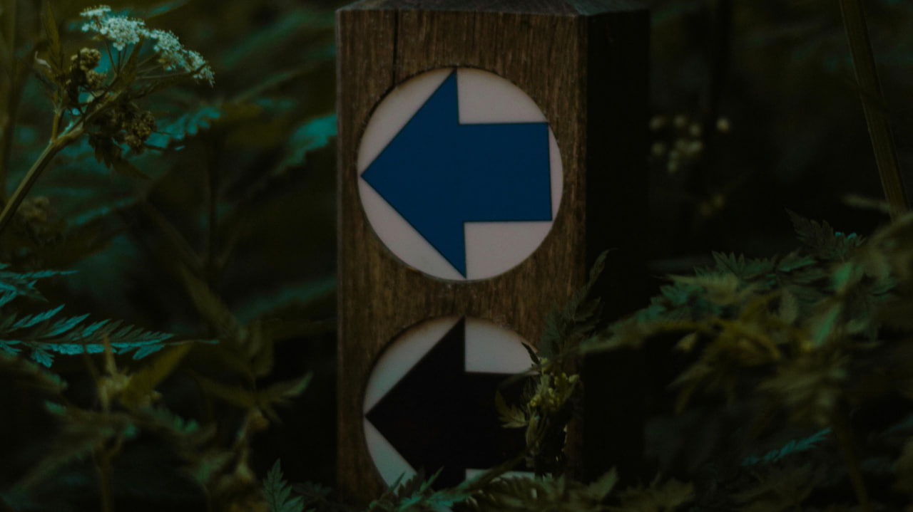 FI - Discern God's Will Well by Renewing Your Mind