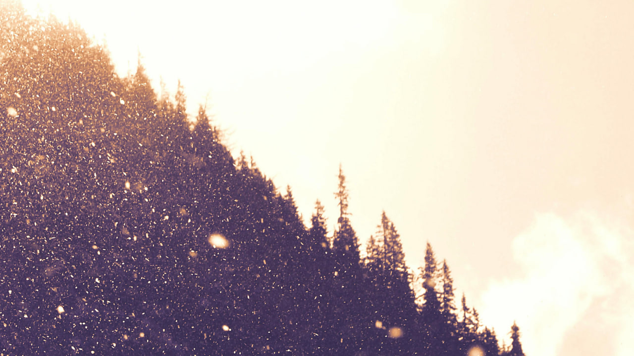 FI - Have A Long View of Life