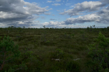 FI - The Holy Spirit Testifies About Jesus