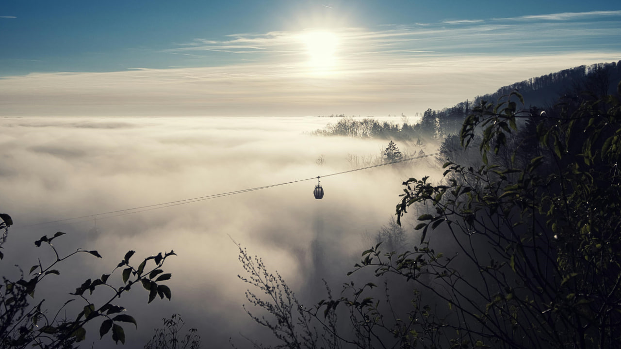 FI - The Lord Upholds the Righteous