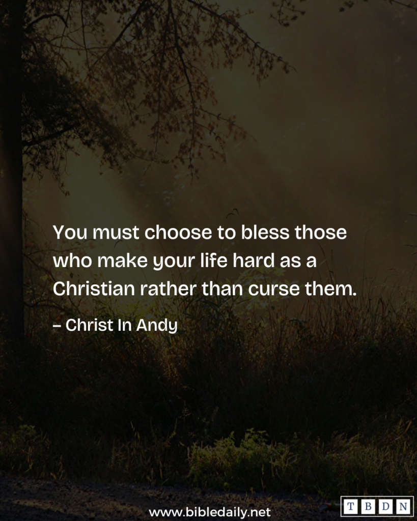 Devotional - Bless Those Who Persecute You