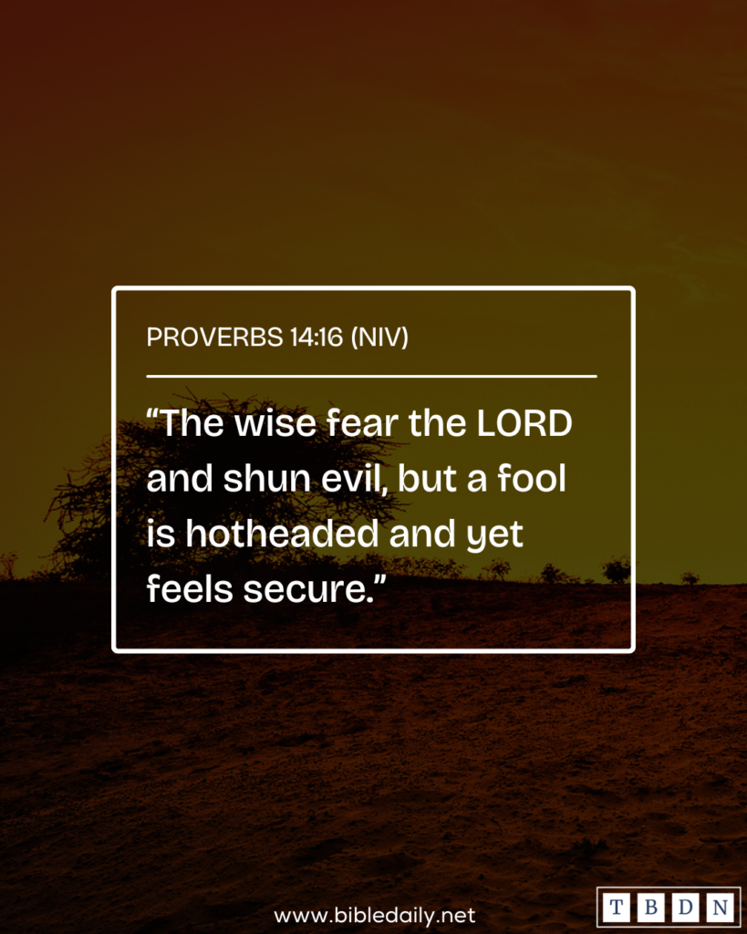 Devotional - Fear the Lord and Shun Evil