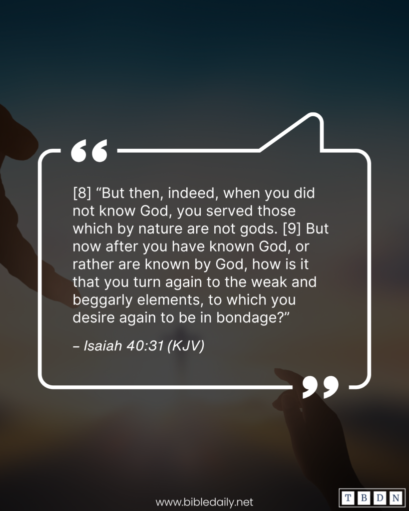 Devotional - Never Turn Back from Following Christ to Go to the World