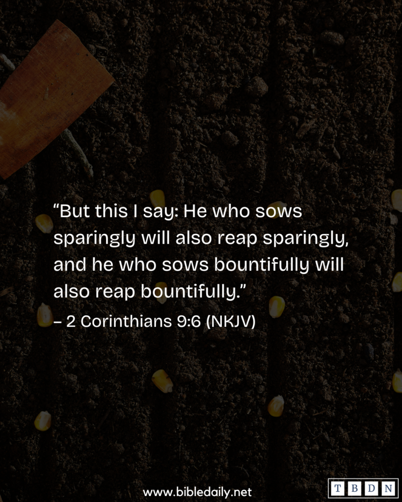 Devotional - Watch How You Sow into God's Kingdom