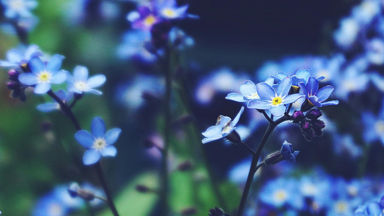 FI - Believe God for Unexplainable Favour