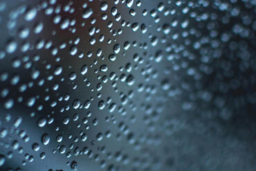 FI - Bless Those Who Persecute You