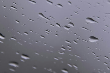 FI - Discretion Will Protect You