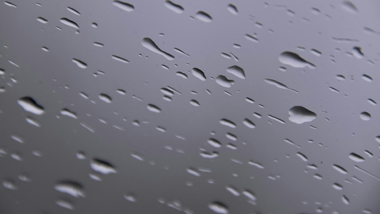 FI - Discretion Will Protect You