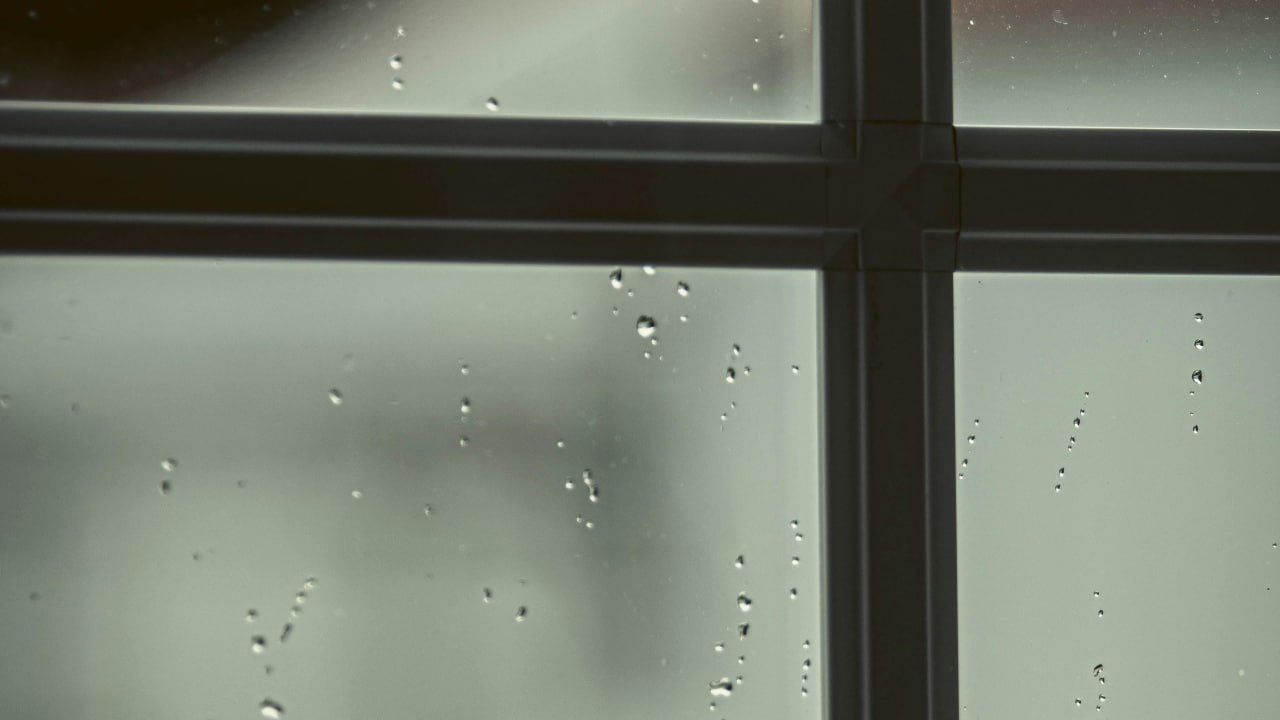 FI - Do Not Lose Heart in the Lord