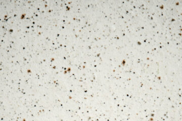 FI - Don't Forget to Do Just as God Said