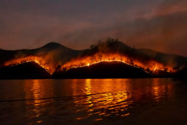 FI - Have No Fear of Sudden Disaster