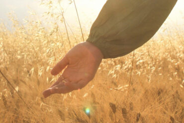 FI - Live in Harmony with One Another