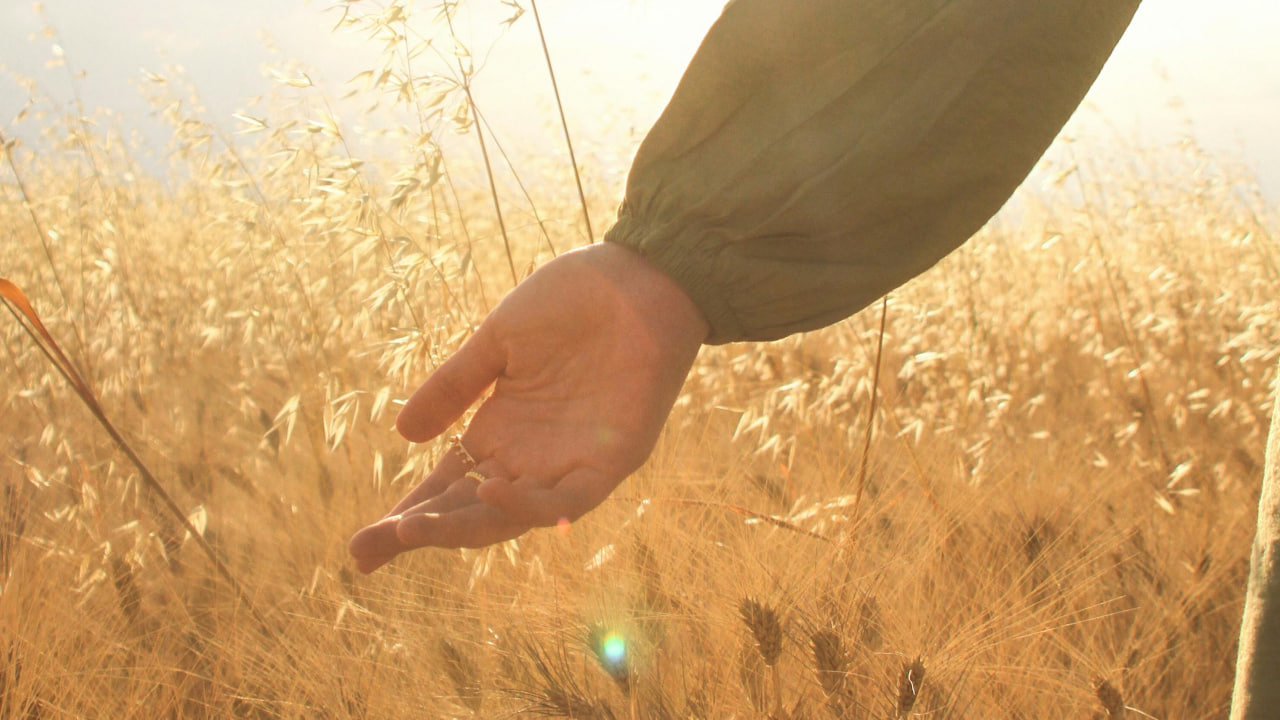 FI - Live in Harmony with One Another