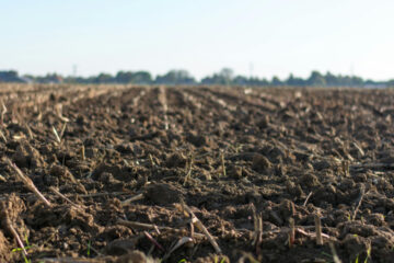 FI - Watch How You Sow into God's Kingdom