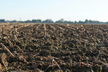 FI - Watch How You Sow into God's Kingdom