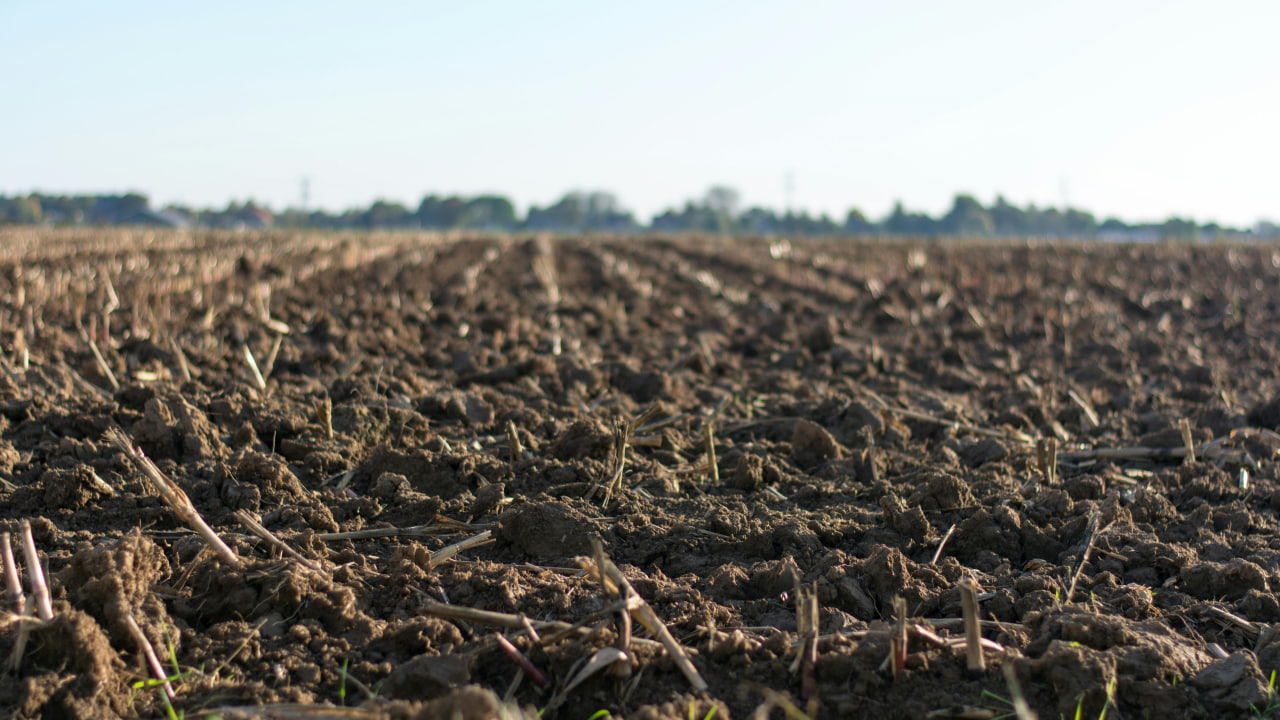 FI - Watch How You Sow into God's Kingdom