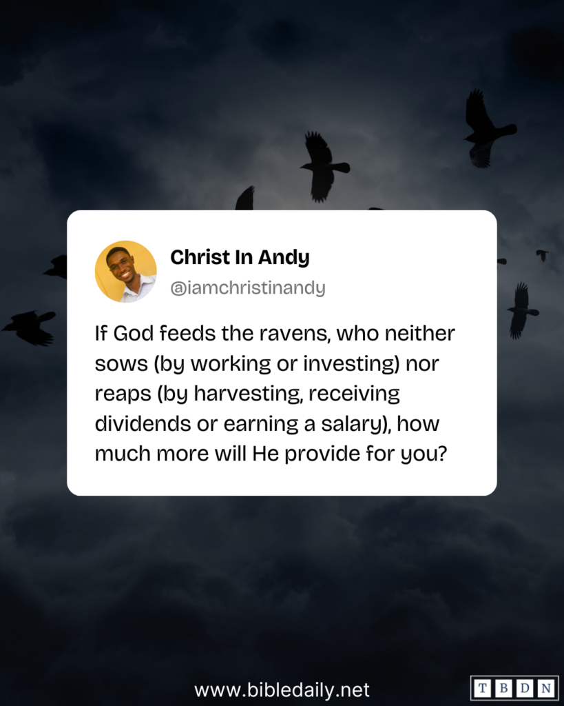 Devotional - Let How God Feed the Ravens Teach You About His Provision