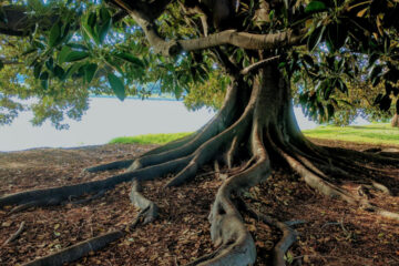 FI - Have Faith for What You Are Praying for