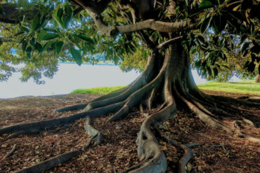 FI - Have Faith for What You Are Praying for