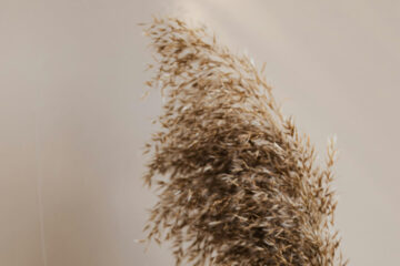 FI - The Spirit of The Lord Is Upon You