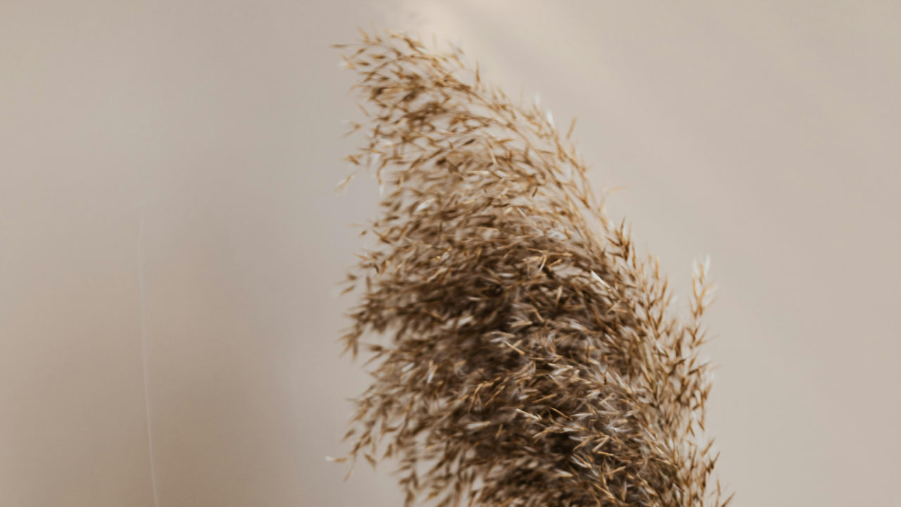 FI - The Spirit of The Lord Is Upon You