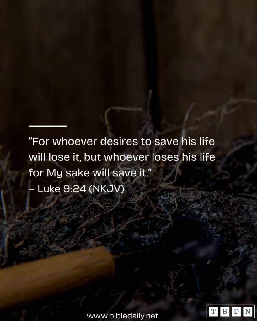 Devotional - Trade Your Life for Jesus, and You Will Not Encounter Loss