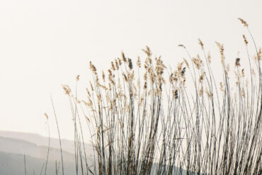 FI - A Gentle Answer Turns Away Wrath