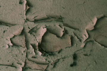 FI - By Their Fruits You Shall Know Them