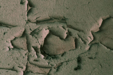 FI - By Their Fruits You Shall Know Them