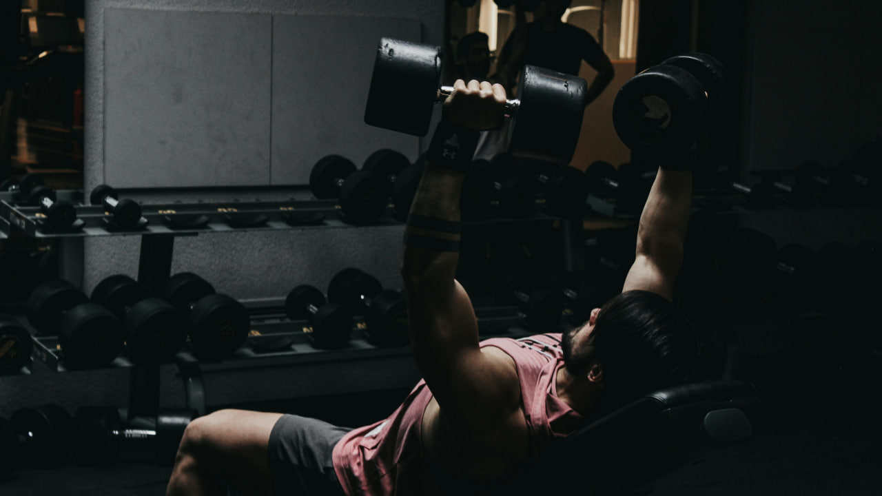 FI - Discipline Your Body So You Can Obey God's Word