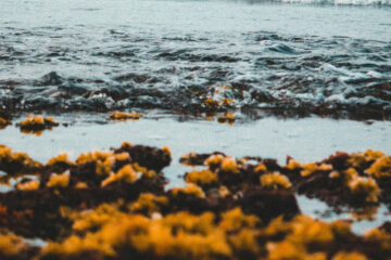 FI - Don't Have a Shallow View of Life