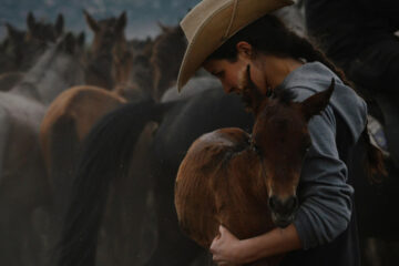 FI - Jesus' Use of a Neglected Colt for Triumphant Entry - Palm Sunday Special Article