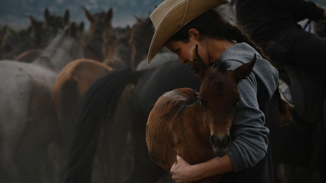 FI - Jesus' Use of a Neglected Colt for Triumphant Entry - Palm Sunday Special Article