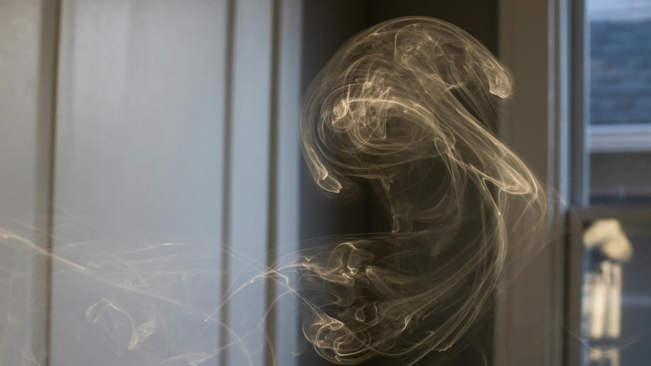 FI - No Harm Overtakes the Righteous