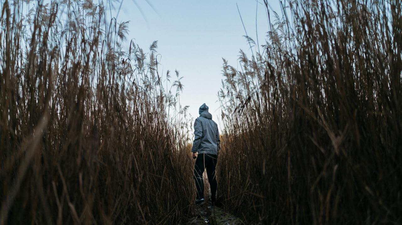 FI - The Season of Singleness